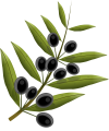 Zweig mit Oliven